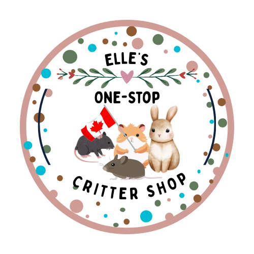 Cozy Edit Collective